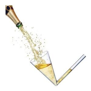 NIB The Wine Savant Set of 6 Champagne Shooters Bachelorette Champs Bong